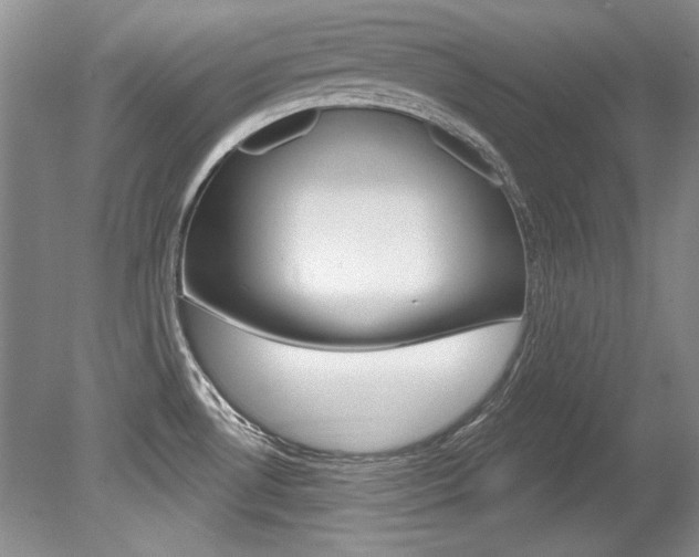 X0000079331530200611170943