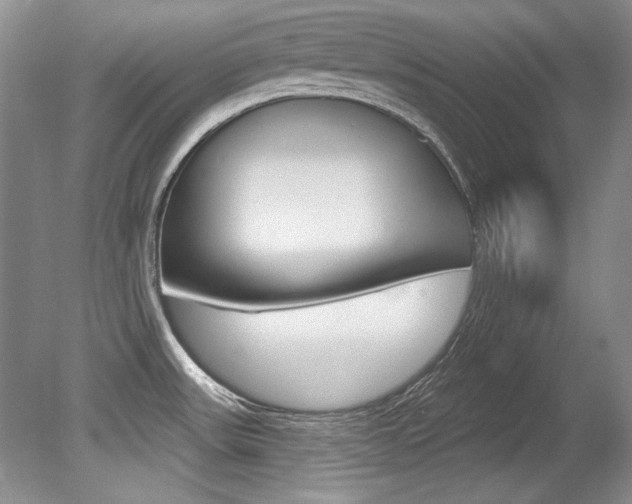 X0000079331531200611170943