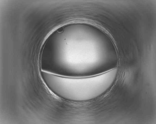 X0000079331533200611170943