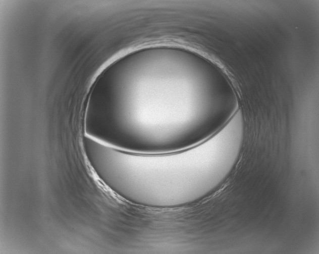 X0000079331534200611170943