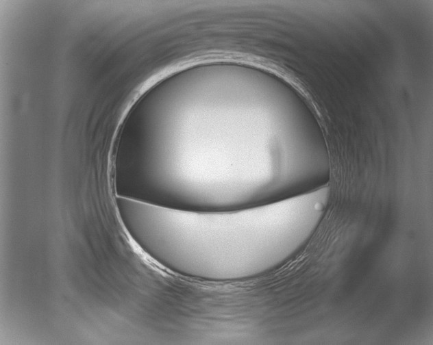 X0000079331535200611170943