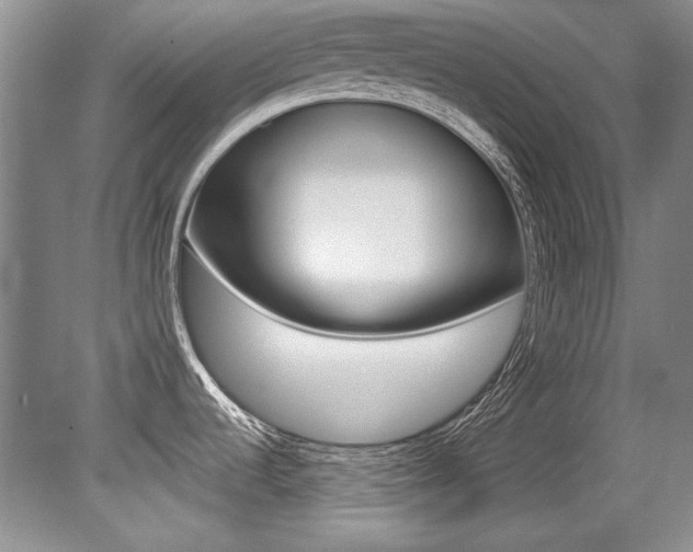 X0000079331536200611170943