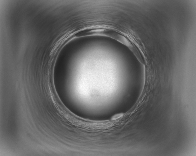 X0000079330001200611171201
