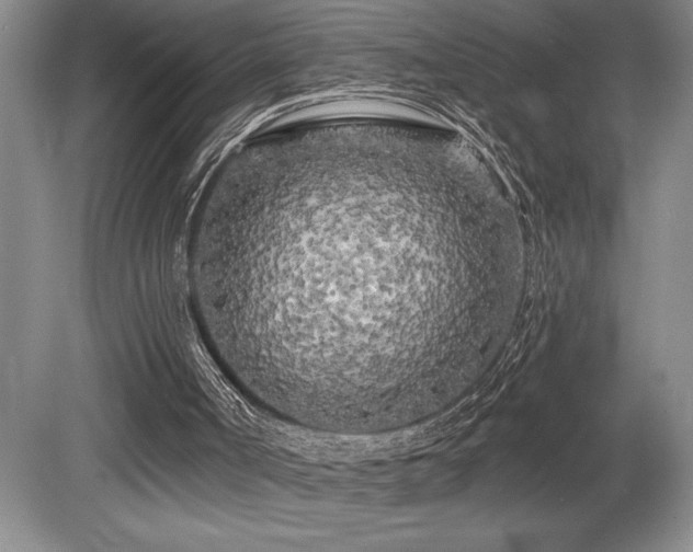 X0000079330002200611171201