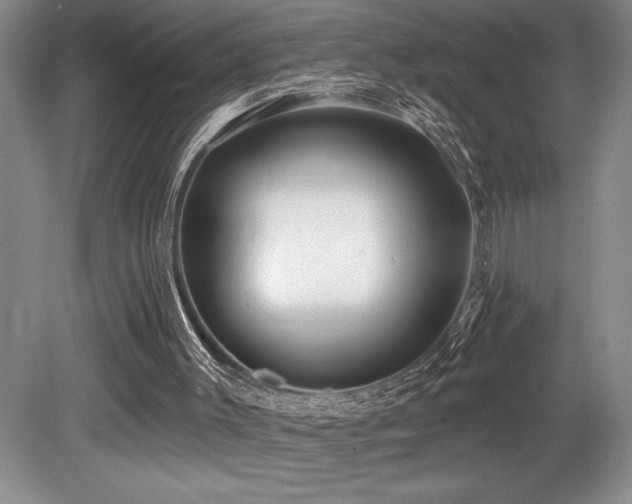 X0000079330003200611171201