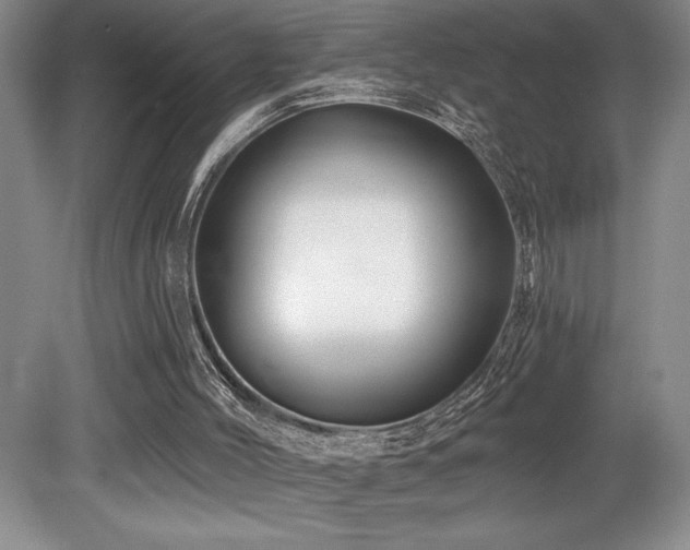 X0000079330004200611171201