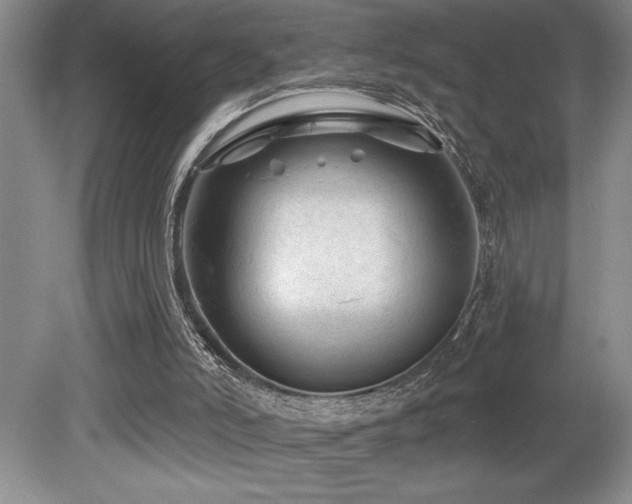 X0000079330006200611171201