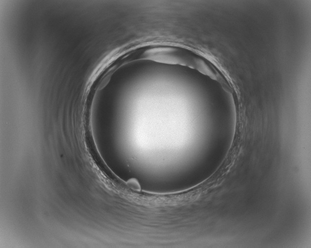 X0000079330007200611171201
