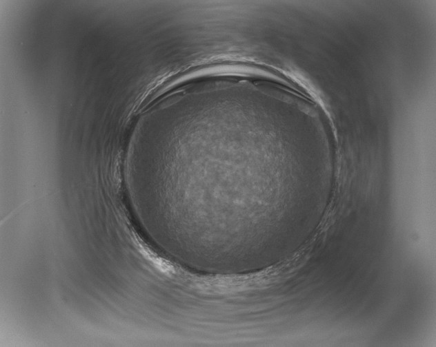X0000079330009200611171201
