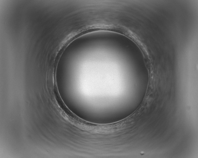 X0000079330011200611171201