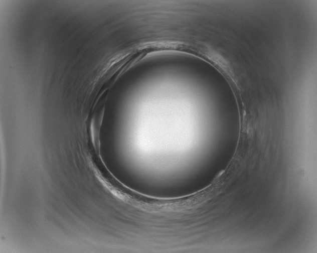 X0000079330013200611171201