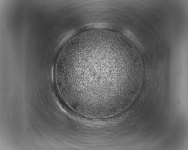 X0000079330014200611171201