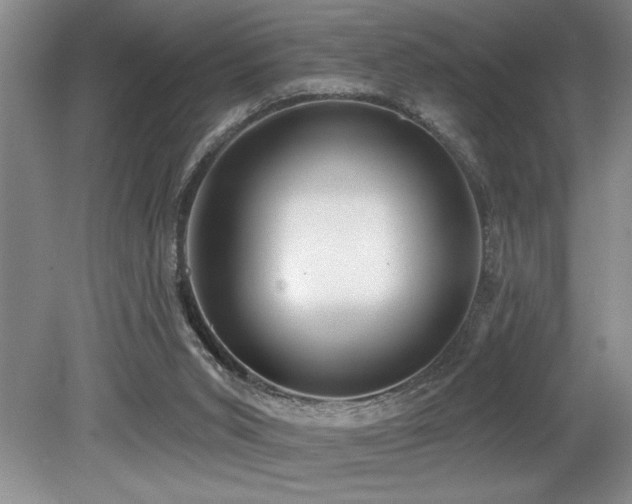 X0000079330015200611171201