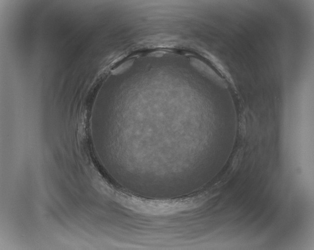 X0000079330018200611171201