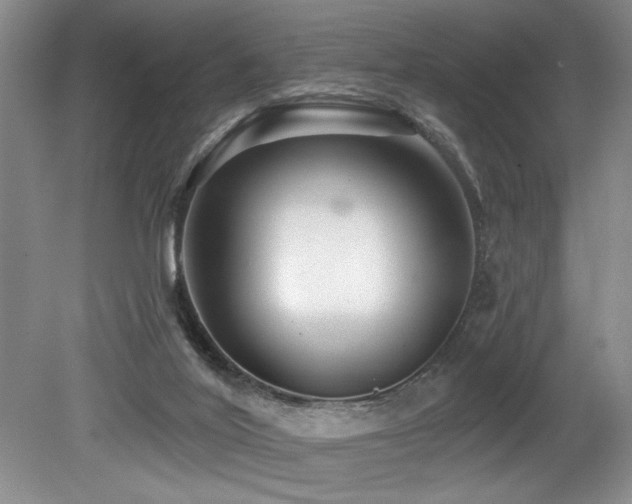 X0000079330020200611171201