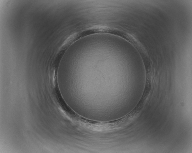 X0000079330024200611171201