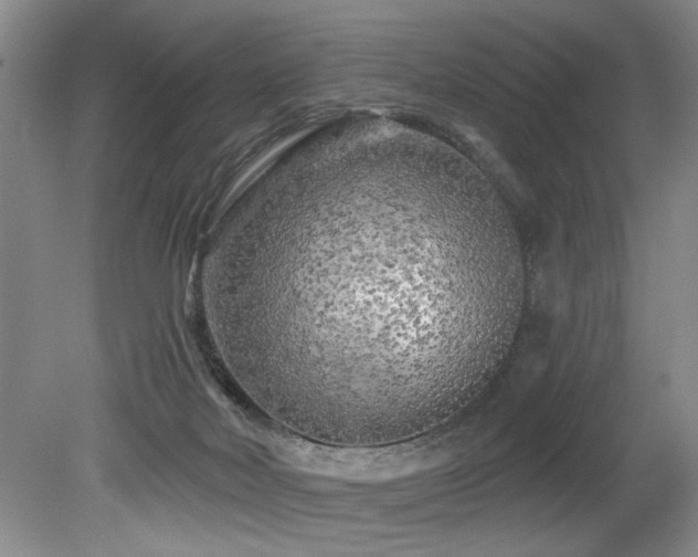 X0000079330026200611171201