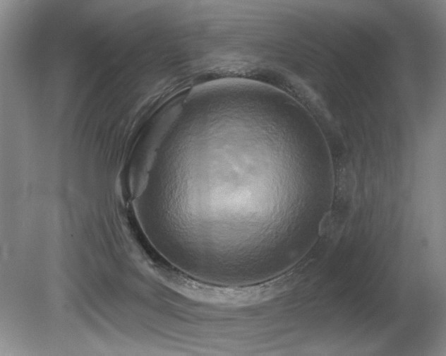 X0000079330027200611171201