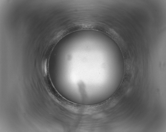 X0000079330028200611171201