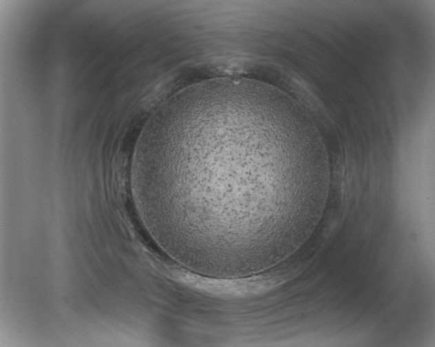 X0000079330030200611171200