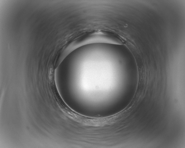 X0000079330033200611171200