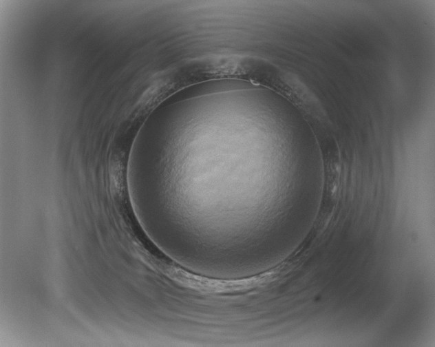 X0000079330035200611171200