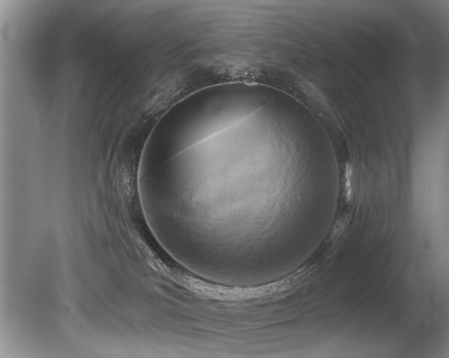 X0000079330039200611171200