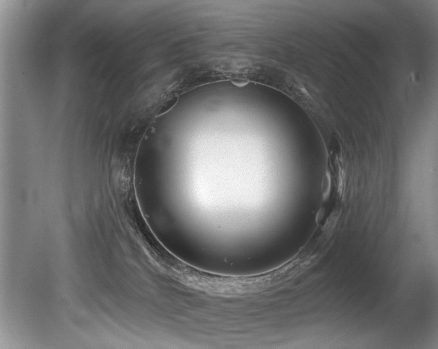 X0000079330040200611171200