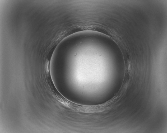 X0000079330041200611171200