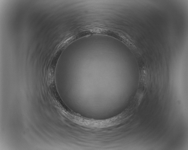 X0000079330043200611171200