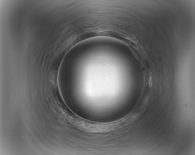 X0000079330044200611171200