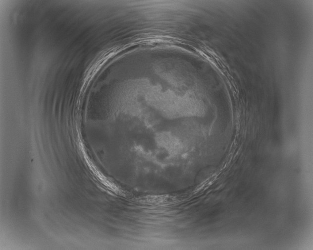 X0000079330049200611171159
