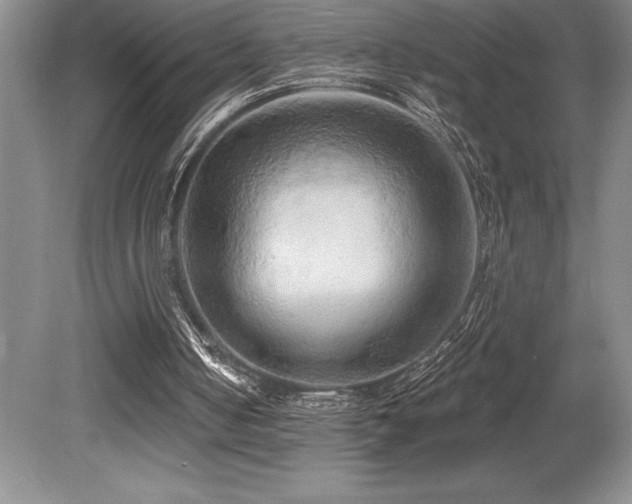 X0000079330050200611171159