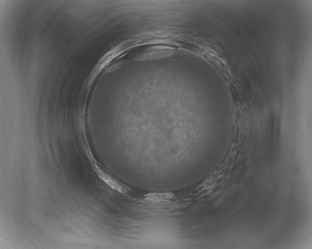 X0000079330051200611171159