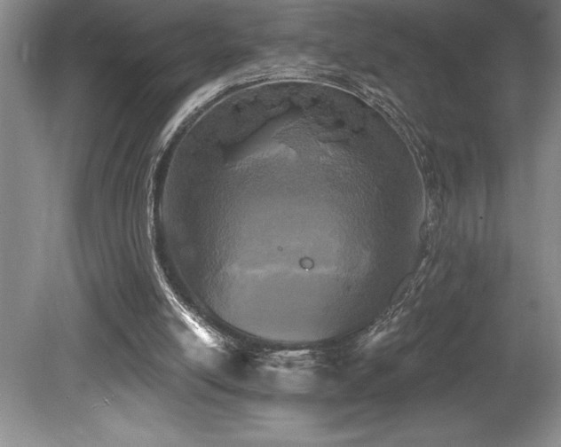 X0000079330054200611171159