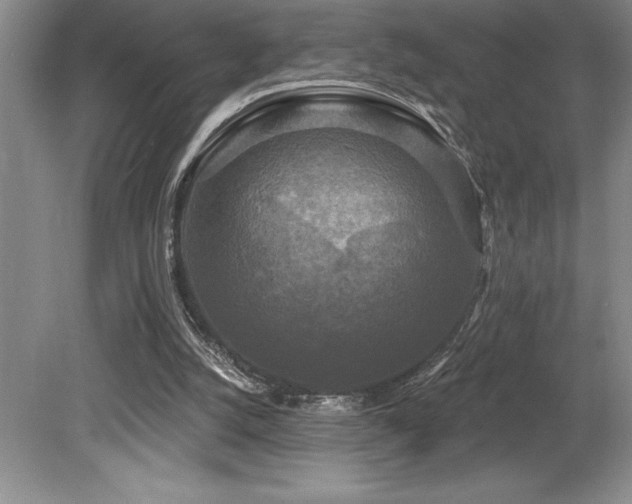 X0000079330056200611171159