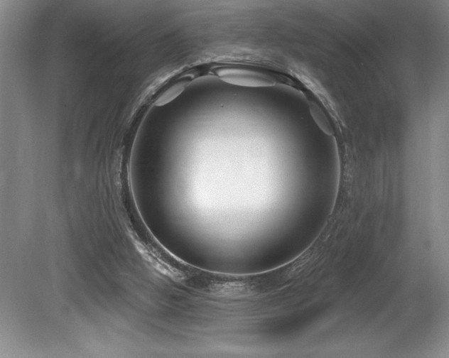 X0000079330058200611171200