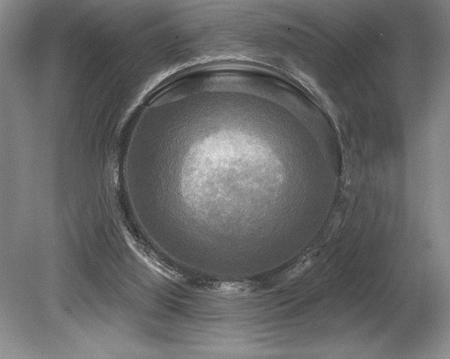 X0000079330060200611171200