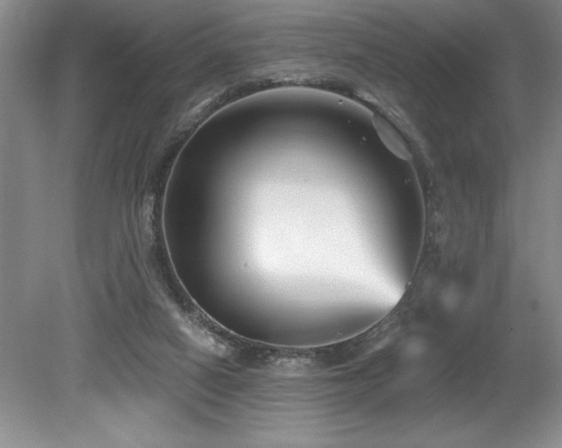 X0000079330066200611171200