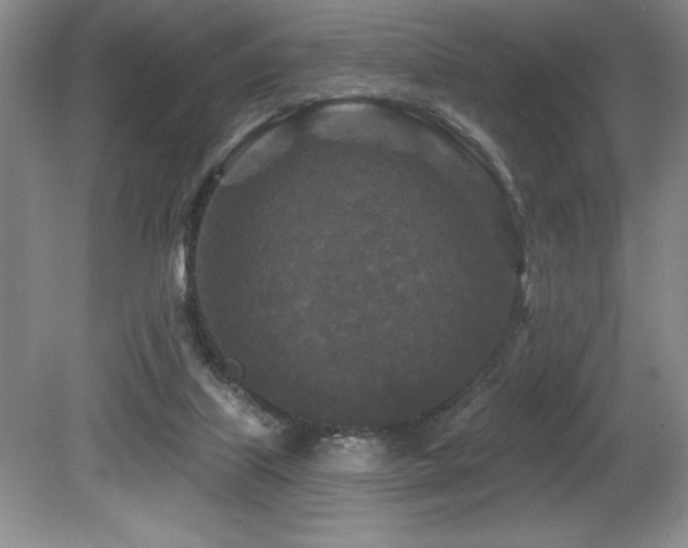 X0000079330067200611171200