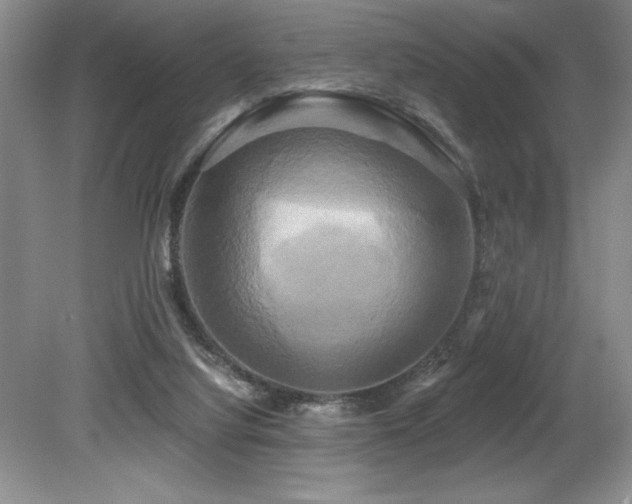 X0000079330068200611171200