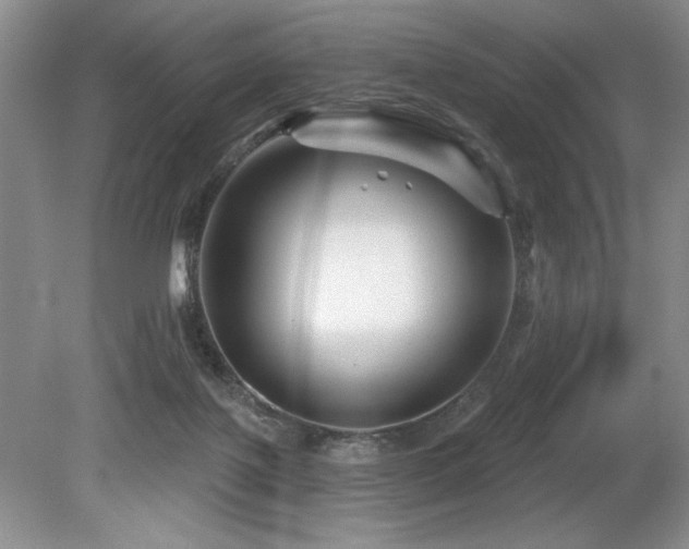 X0000079330075200611171200
