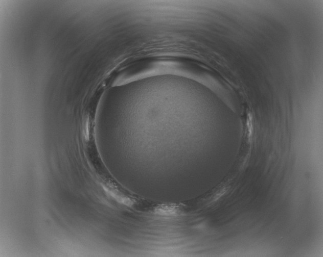X0000079330076200611171200