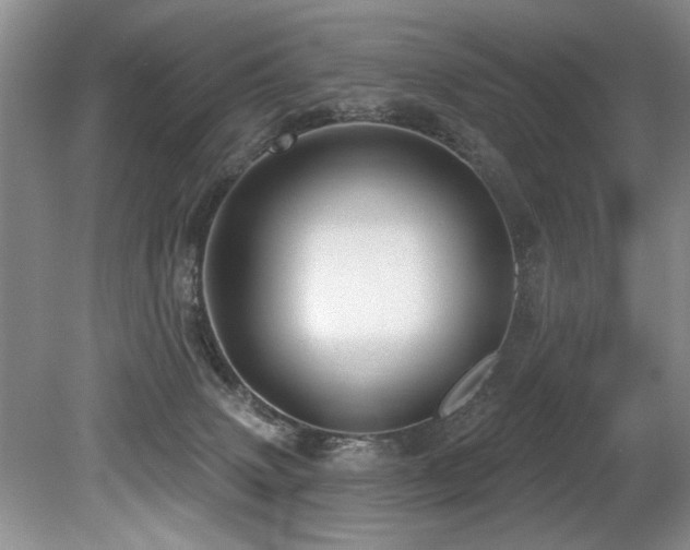 X0000079330083200611171200