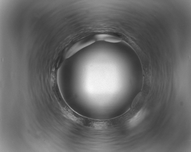 X0000079330085200611171200