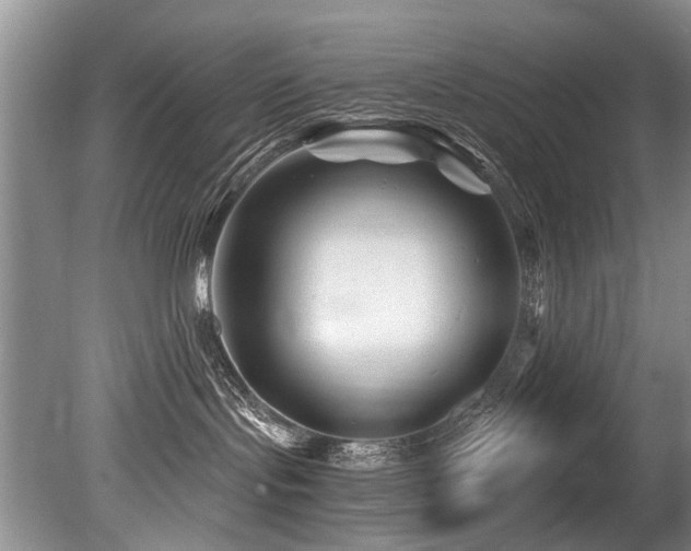 X0000079330095200611171200