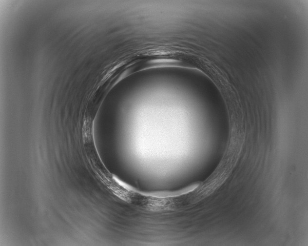X0000079330096200611171200