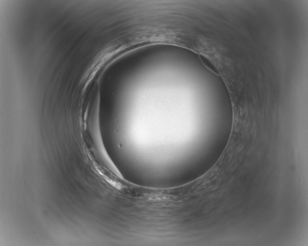 X0000079330098200611171159