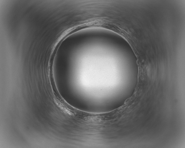 X0000079330100200611171159