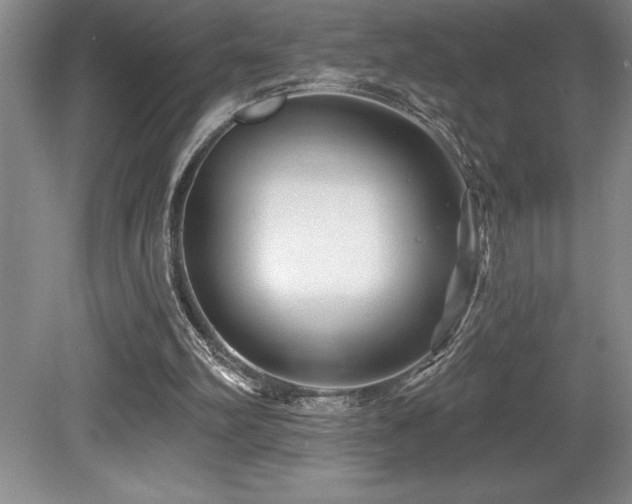 X0000079330102200611171159